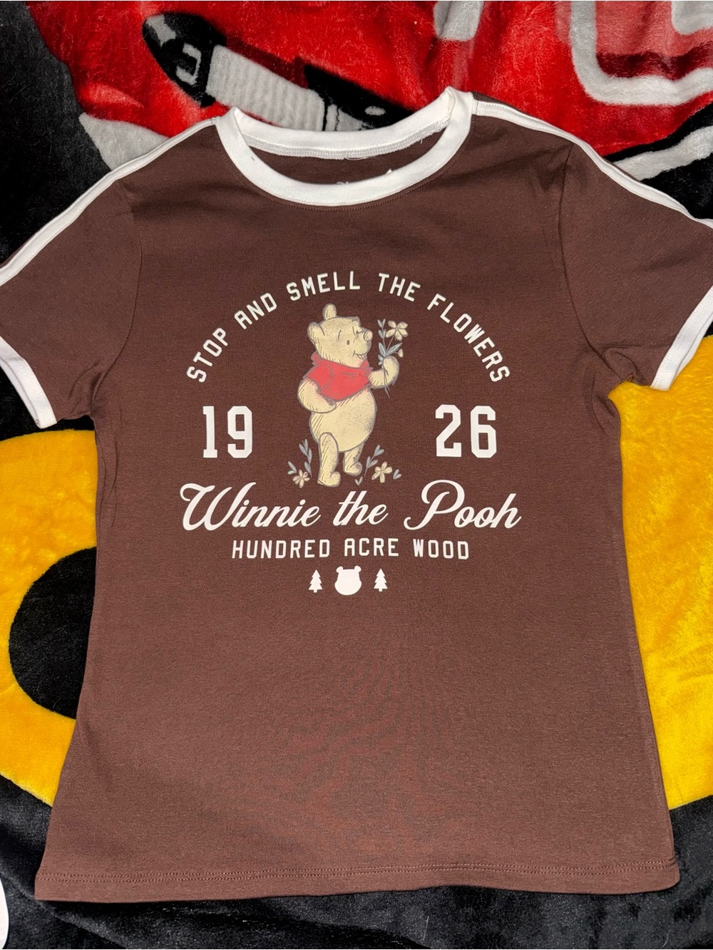 Women’s Winnie the Pooh Brown Short Sleeve Ringer Tee size small